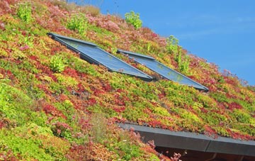 Bugford living roof systems