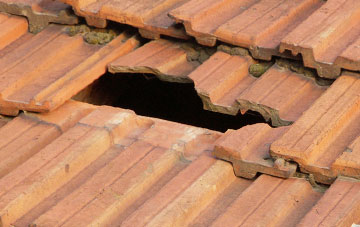 roof repair Bugford, Devon