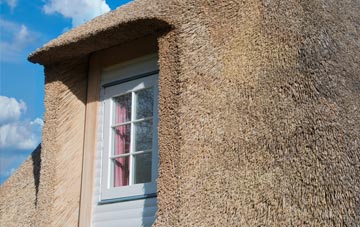 Bugford thatch roof disadvantages
