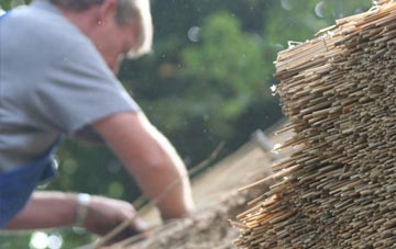 professional Bugford thatchers