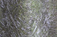 Bugford fibreglass roof work