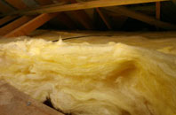 Bugford pitch roof insulation